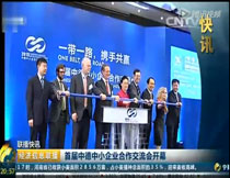 CCTV2經(jīng)濟(jì)信息聯(lián)播:首屆中德中小企業(yè)交流會開幕、網(wǎng)站同步啟動